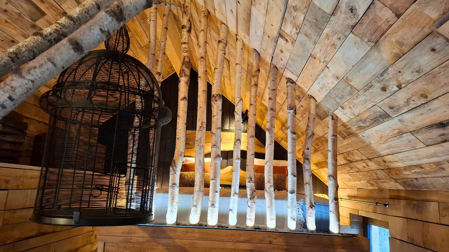 Les Cabanes du Tienne du Bois